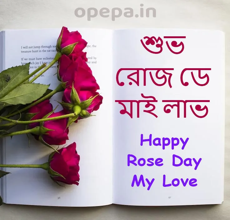 Happy Rose Day Bengali Messages