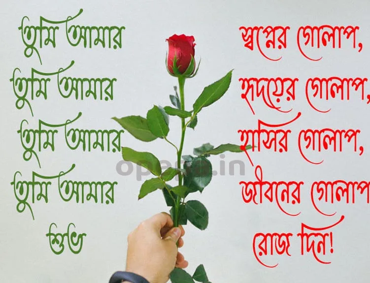 Happy Rose Day Bengali Shayari Images