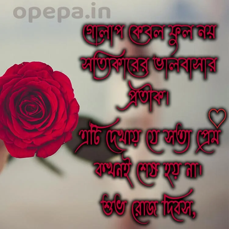 Rose Day Wishes In Bengali