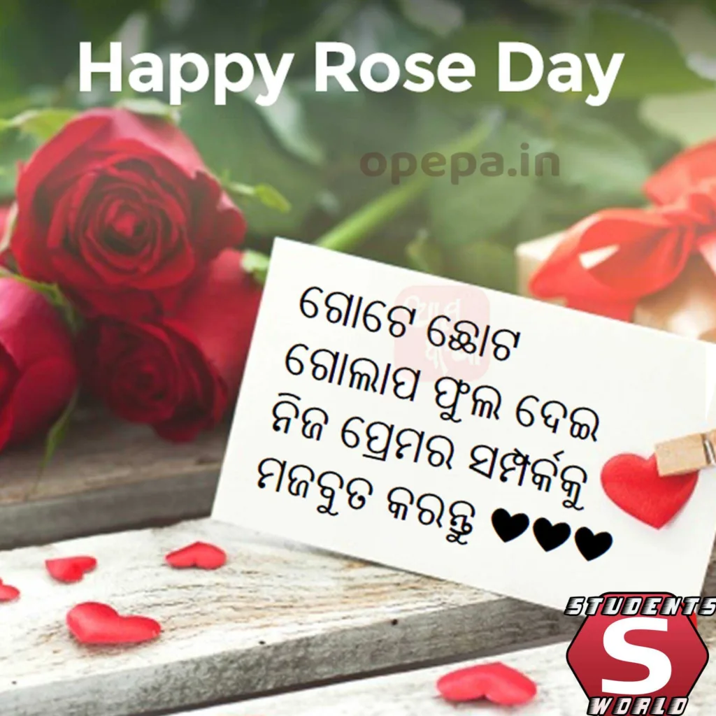 Rose day story in odia for whatsapp and instagram