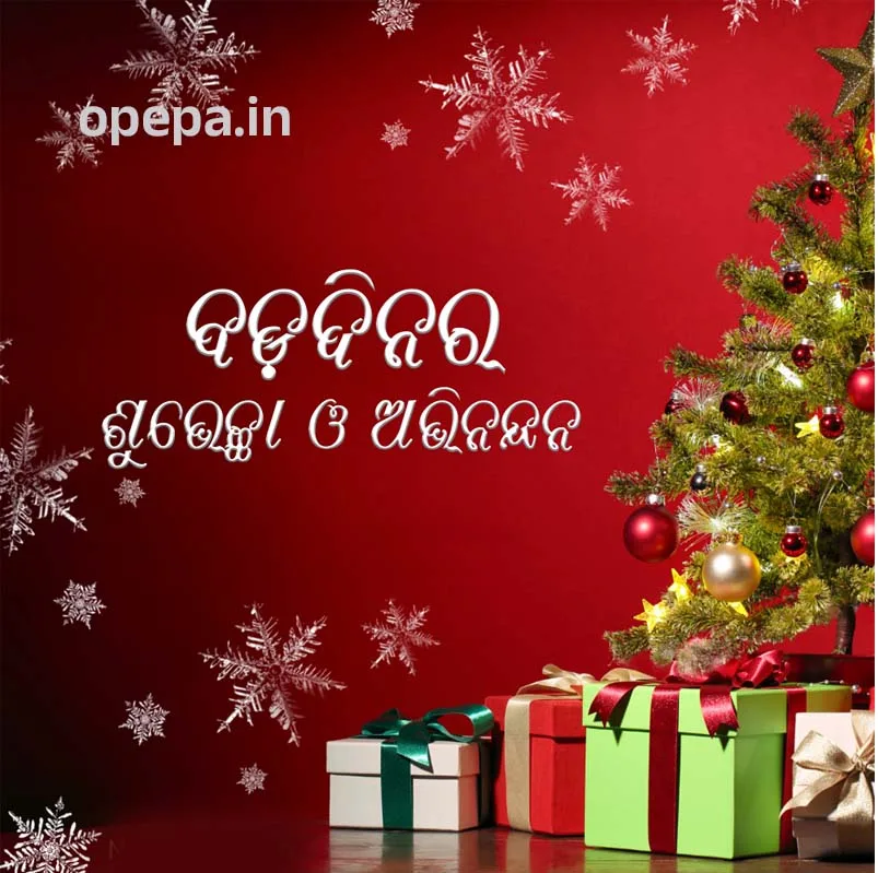 Christmas-wishes-in-odia